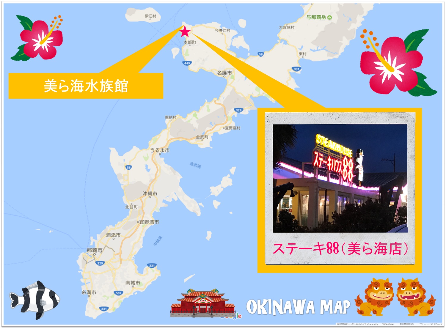 美ら海水族館からステーキ88