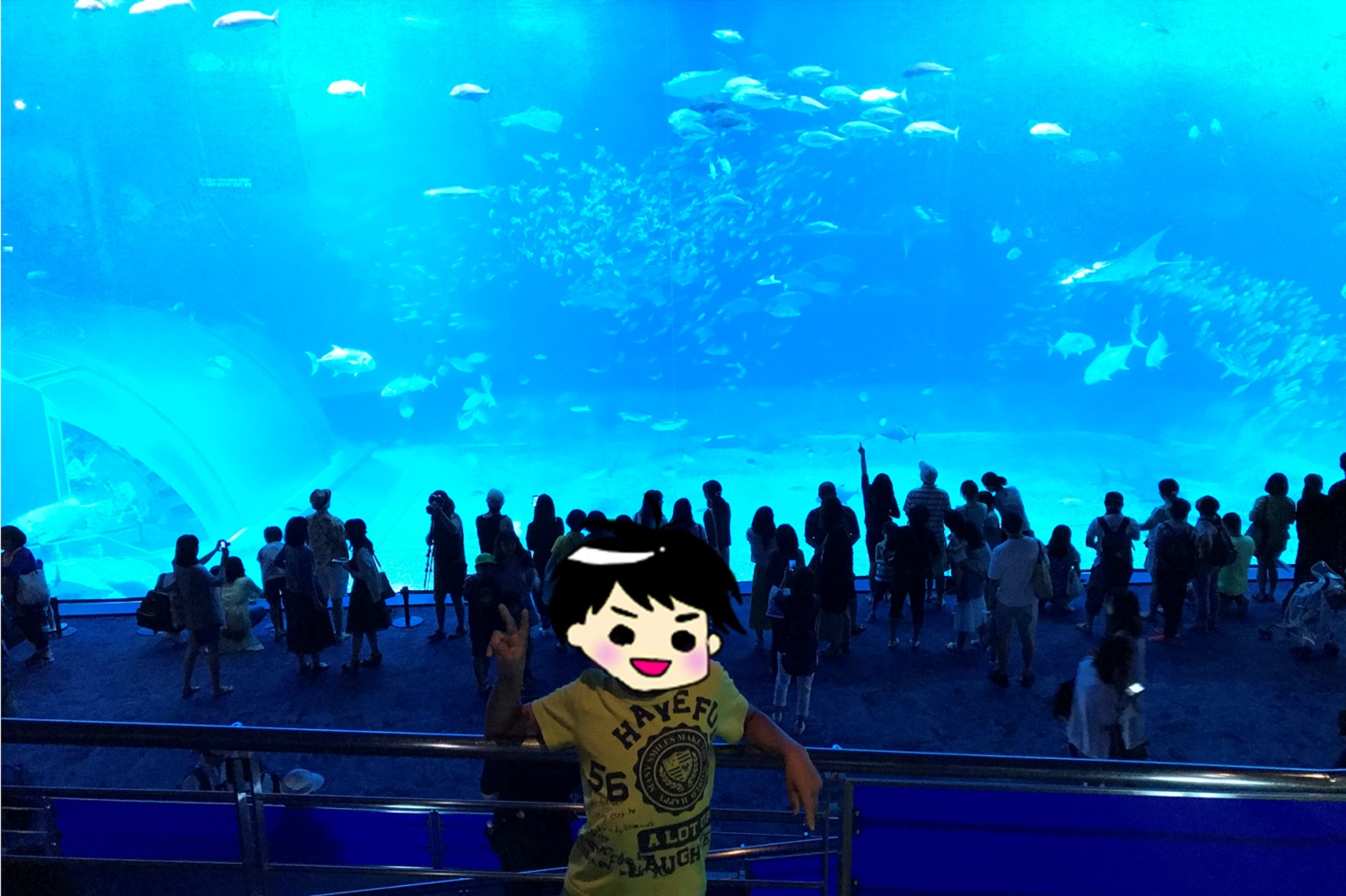 水槽